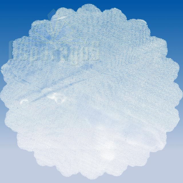 PAINTED ROUND CELLOPHANE 40CM/WHITE/TULLE (50PCS/PACK)