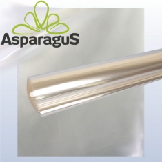 CELLOPHANE SHEET 40X60CM/TRANSPARENT (50PCS/PACK)