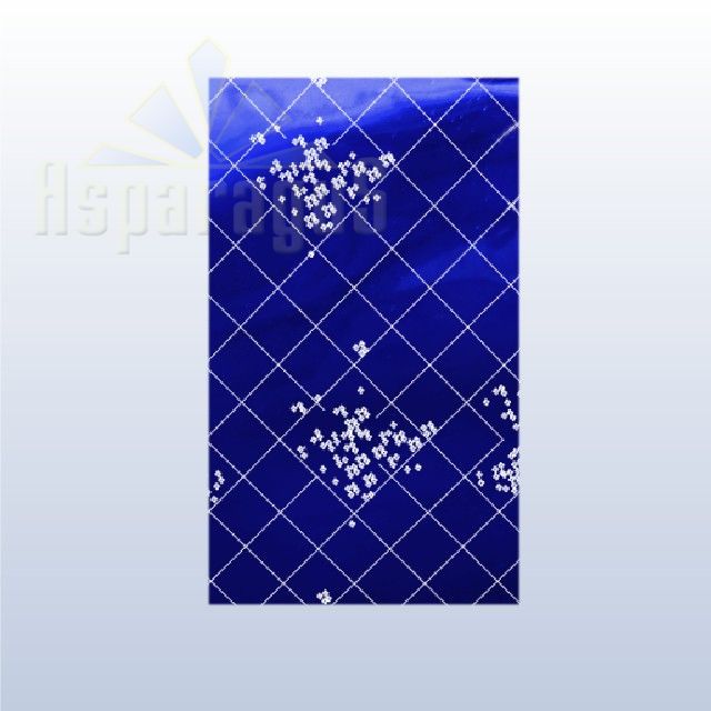 CELLOPHANE GIFT BAG METALLIC 30X50CM/ROYAL BLUE/GRID (50PCS/PACK)