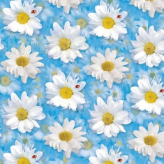 WRAPPING (FLAT) PAPER SHEET 70X100CM/PATTERNED (5PCS/PACK) WITH MARGUERITES
