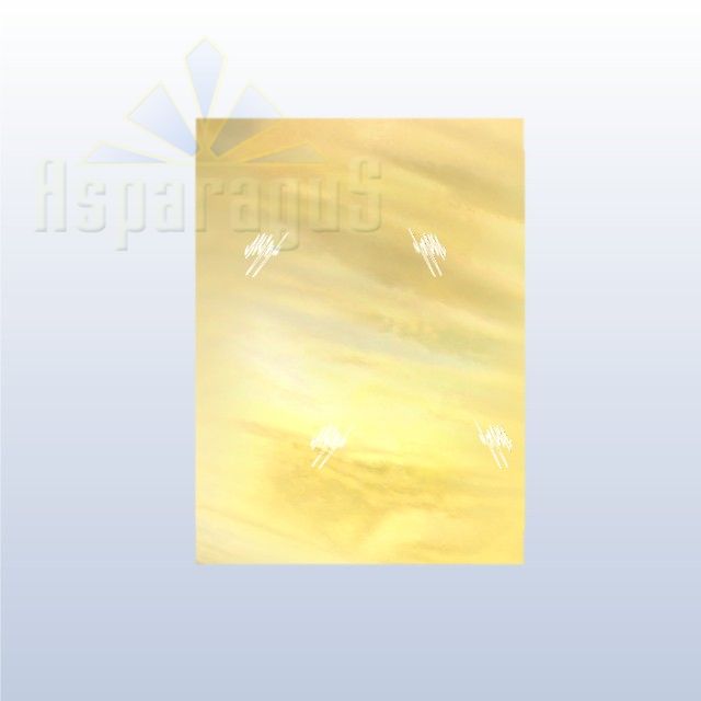 CELLOPHANE GIFT BAG METALLIC 35X45CM/GOLD/ZIGZAG (50PCS/PACK)