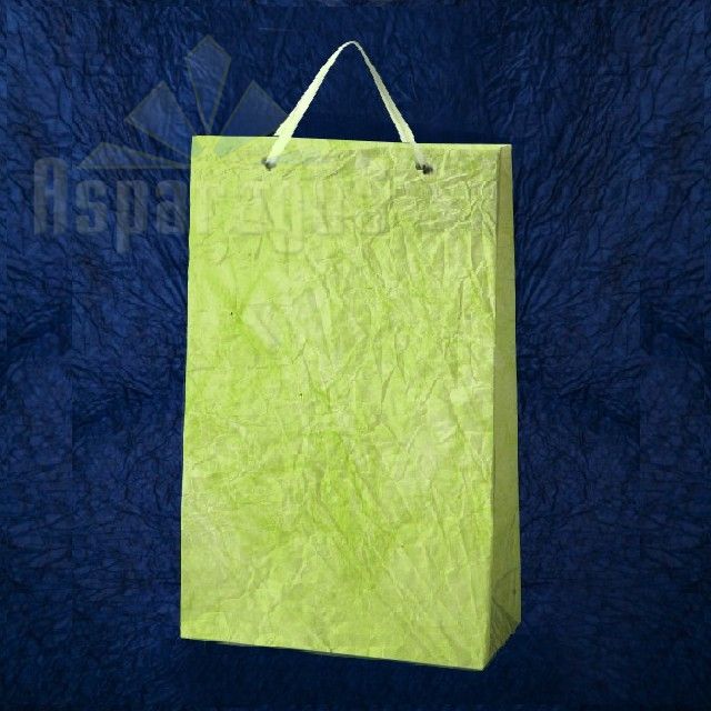 PAPER BAG WITH HANDLES 7X16X25CM/APPLE GREEN