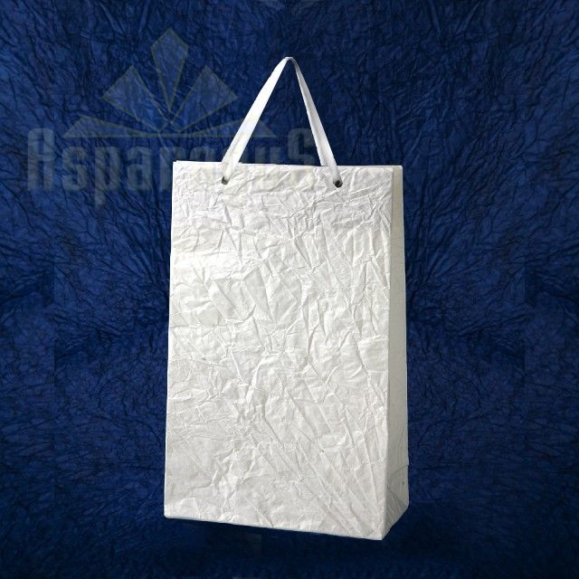PAPER BAG WITH HANDLES 5X11X17CM/WHITE