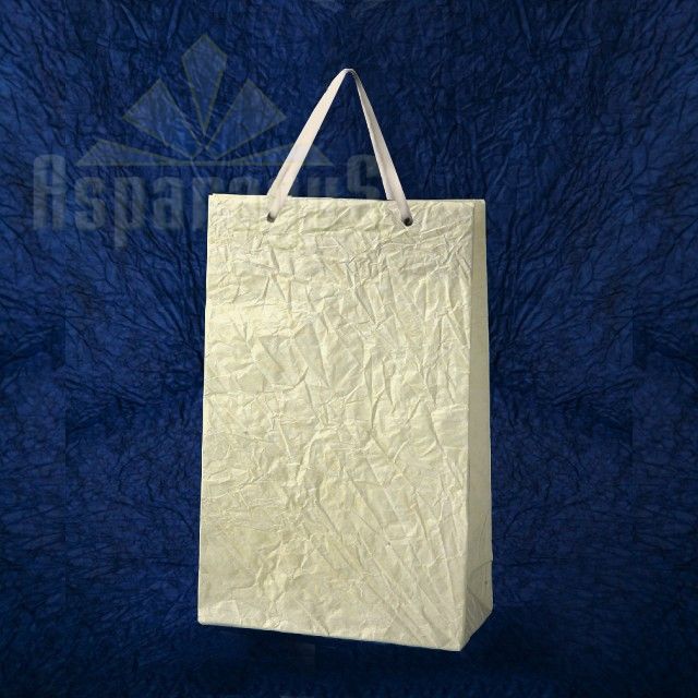 PAPER BAG WITH HANDLES 5X11X17CM/IVORY