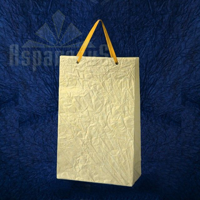 PAPER BAG WITH HANDLES 5X11X17CM/CREAM