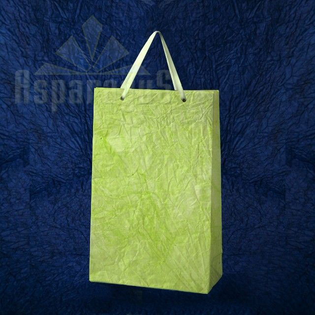 PAPER BAG WITH HANDLES 5X11X17CM/APPLE GREEN
