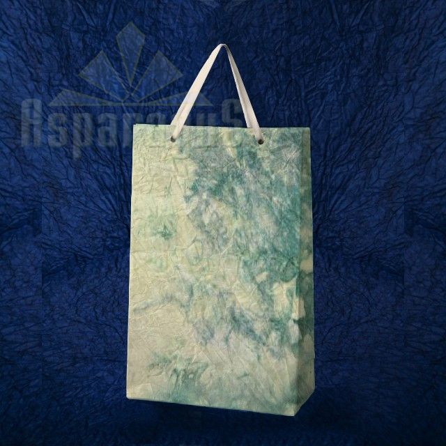 PAPER BAG WITH HANDLES 5X11X17CM/CREAM-GREEN