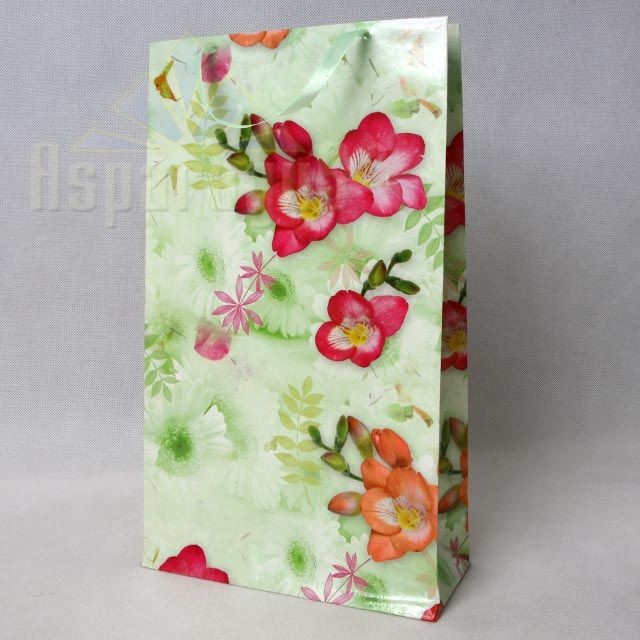 PAPER BAG WITH HANDLES LAMINATED 9,5X23X40CM
