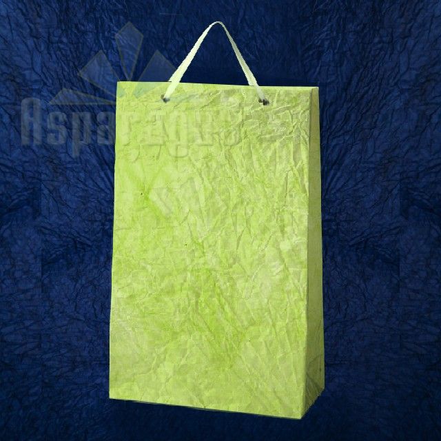 PAPER BAG WITH HANDLES 9,5X23X27CM/APPLE GREEN