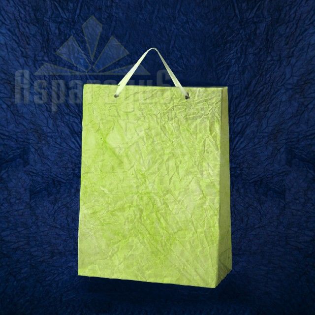 PAPER BAG WITH HANDLES 7X16X15CM/APPLE GREEN