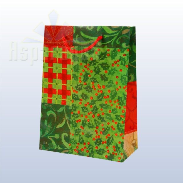 PLASTIC BAG WITH STRING HANDLE 16X8X22CM
