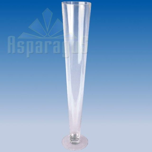 GLASS VASE