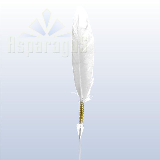FEATHER PICK/WHITE (5PCS/PACK)