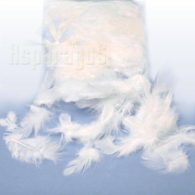 DECOR FEATHER 10G/BAG / WHITE