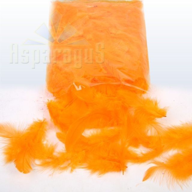 DECOR FEATHER 10G/BAG / ORANGE