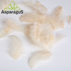 DECOR FEATHER 10G/BAG/ SAND