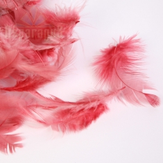 DECOR FEATHER 10G/BAG / MALLOW