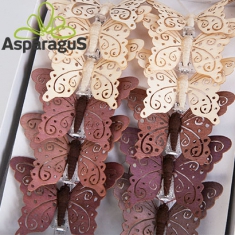 BUTTERFLYS ON CLIPS 8CM (12PCS/PACK)/ MIXED COLOURS