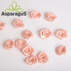 SATIN ROSE HEADS D:2CM/ PEACH (100PCS/PACK)